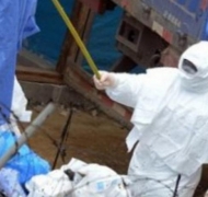 Число погибших от лихорадки Эбола превысило 2 тысячи Всемирная