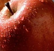 Ученые доказали, что яблоки спасают от ожирения.